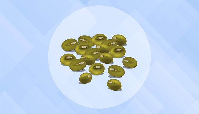 61.png
